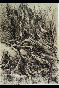 Folge Baumstrukturen, 2005, Chinatusche, Rohrfederzeichnung, Bhutan Papier (Buetten) 89,5x 64,2 cm (WV 01050).jpg